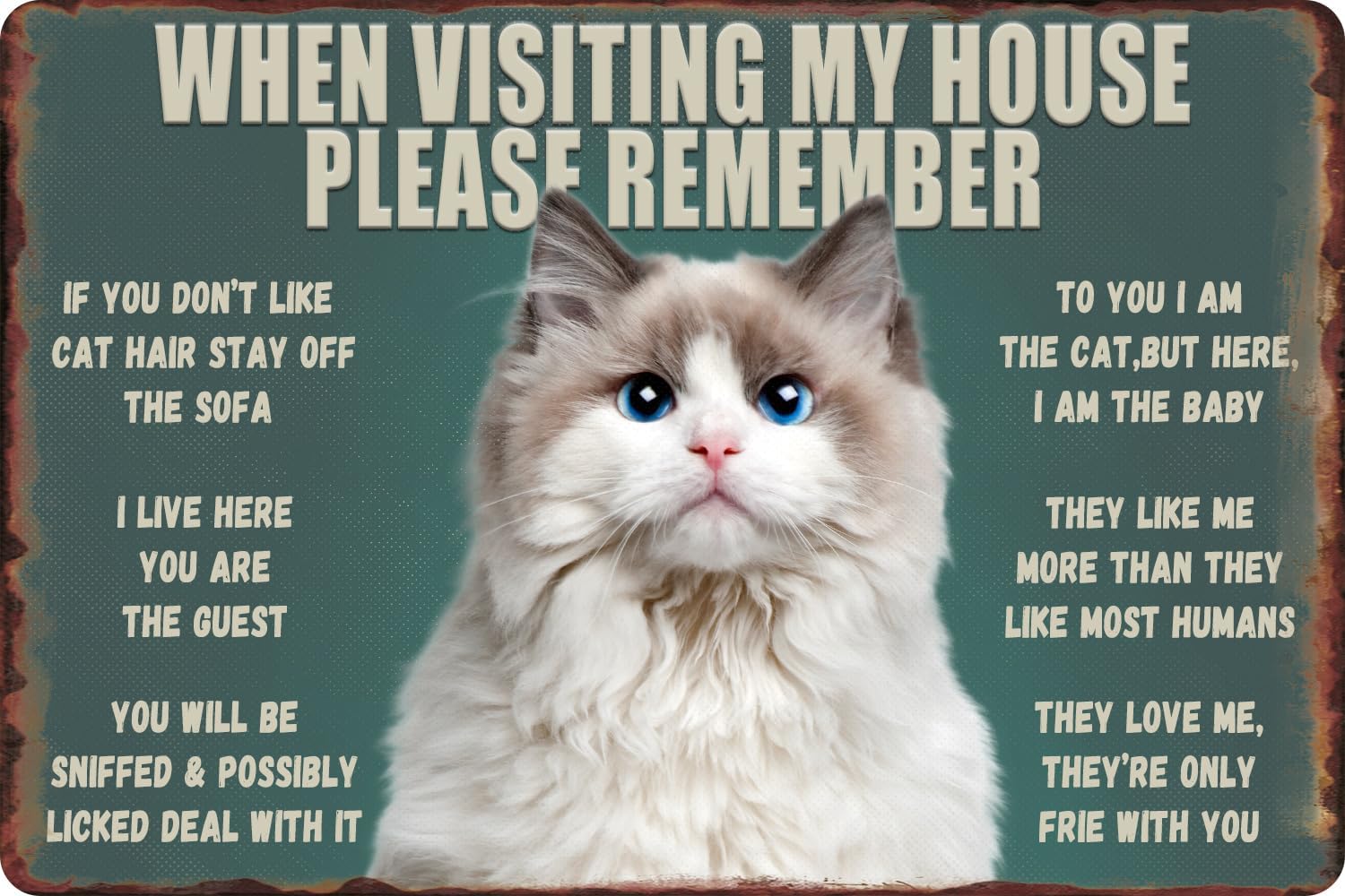 Grappig katten metalen blikken - Bathroom Home Visit recensie en prijs