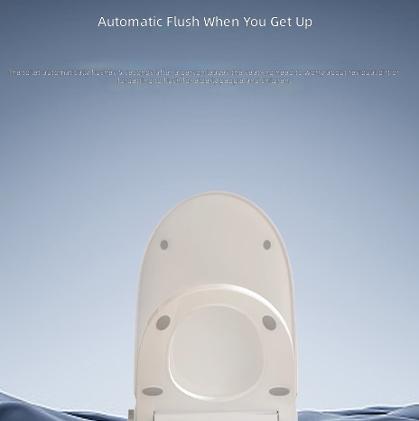 Verwarmde slimme toiletbril, a - Home In Bathroom recensie en prijs
